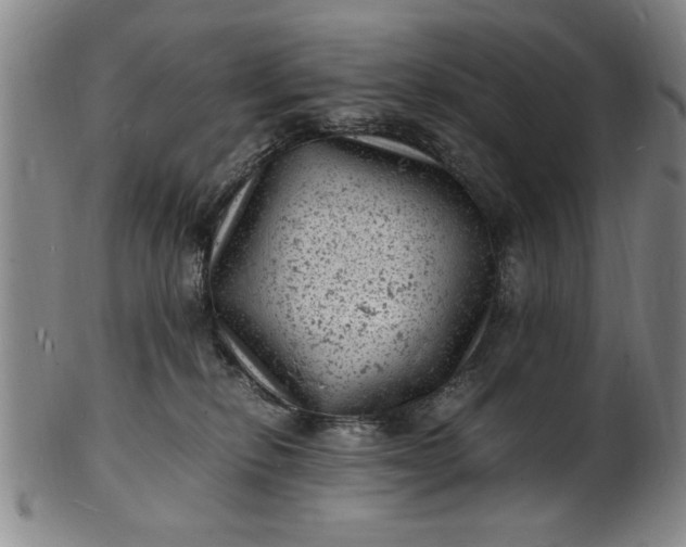 X0000101480278200807211406