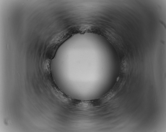 X0000101480280200807211406