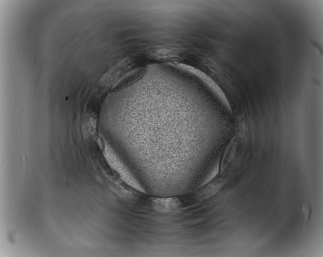 X0000101480281200807211406