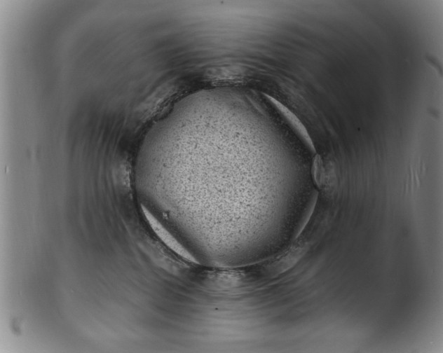 X0000101480282200807211406