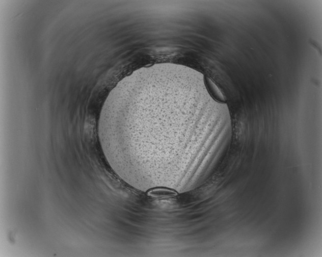 X0000101480283200807211406