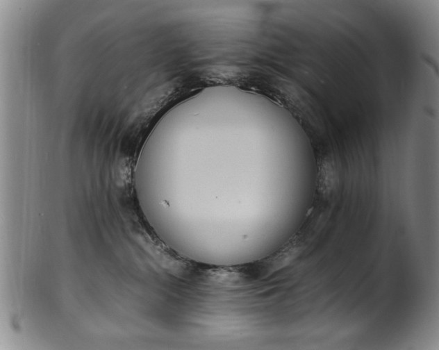 X0000101480284200807211406