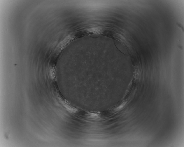 X0000101480285200807211406