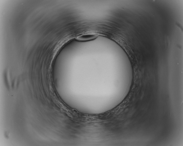 X0000101480289200807211405