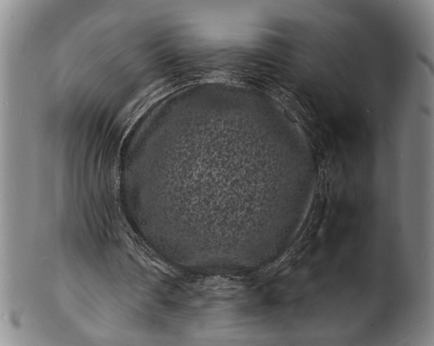 X0000101480290200807211405