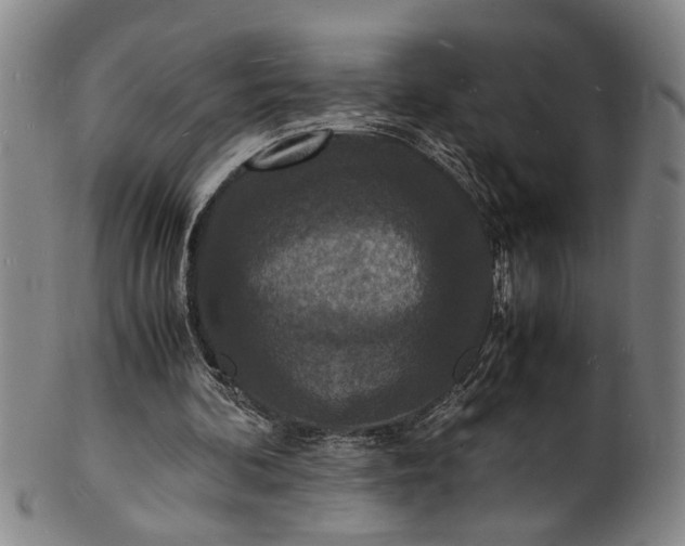 X0000101480292200807211405