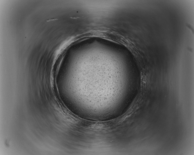 X0000101480294200807211405