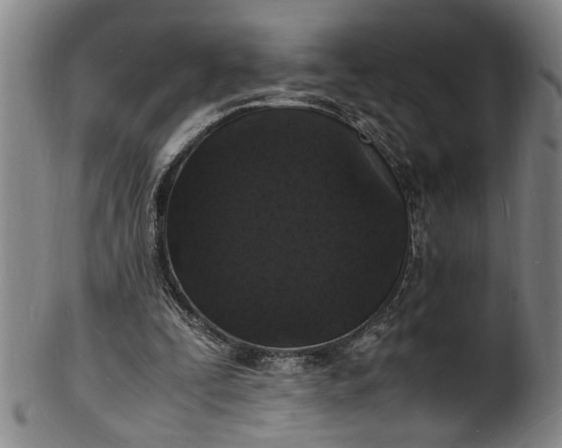 X0000101480295200807211405