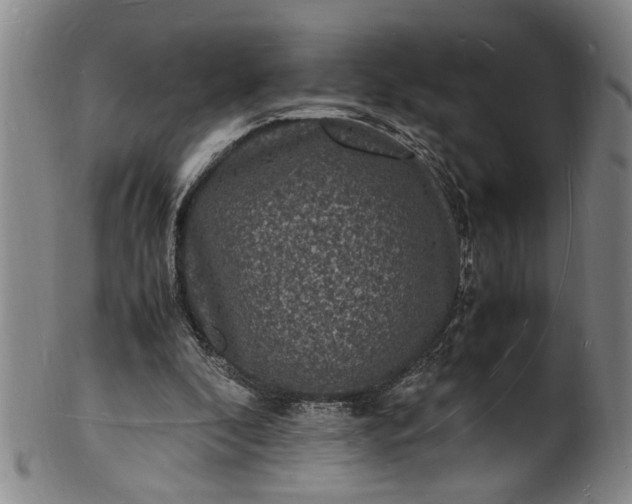 X0000101480296200807211405