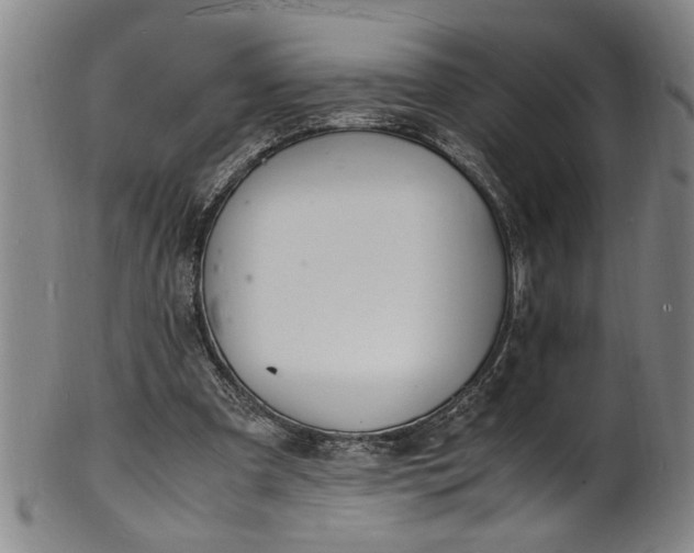 X0000101480297200807211405