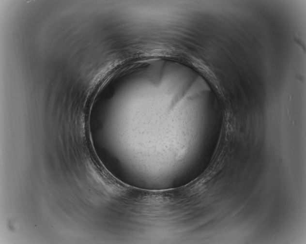 X0000101480298200807211405