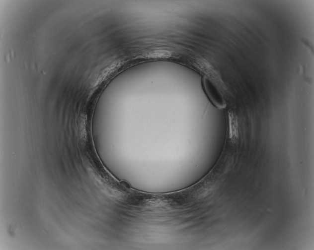 X0000101480300200807211405