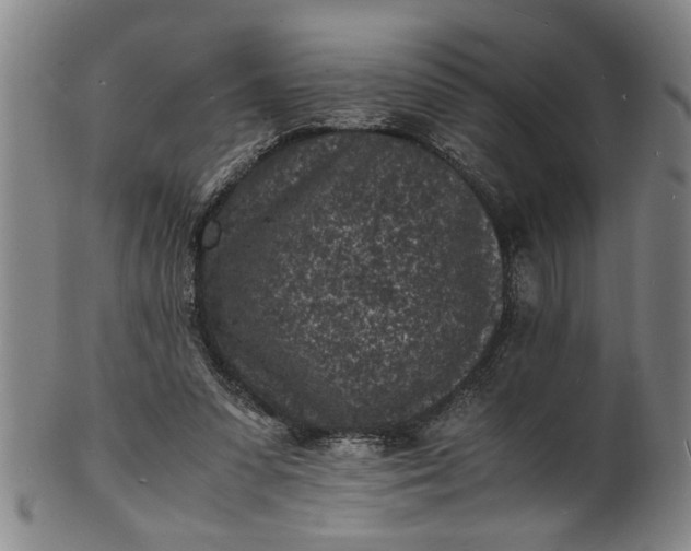 X0000101480303200807211405