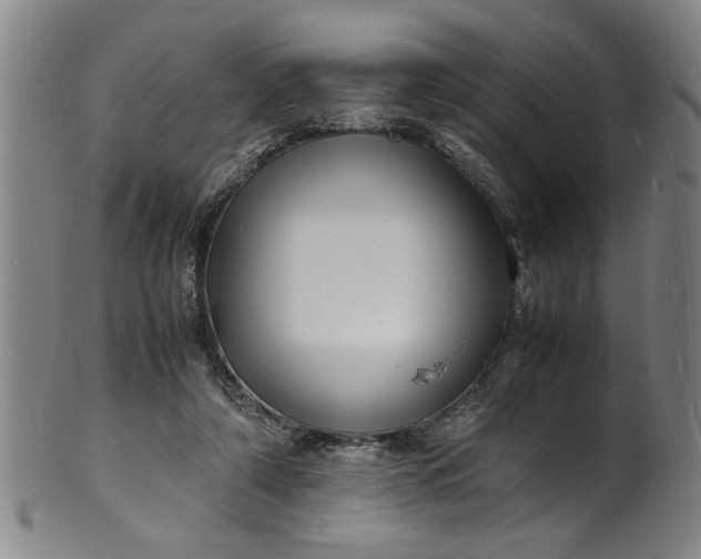 X0000101480306200807211405