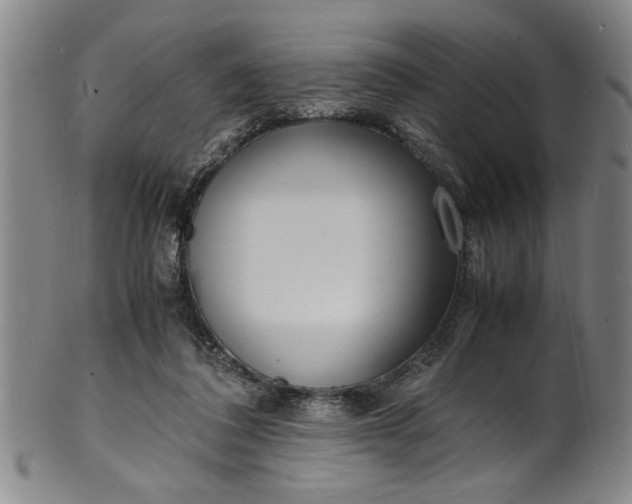 X0000101480308200807211405