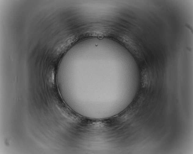 X0000101480310200807211405