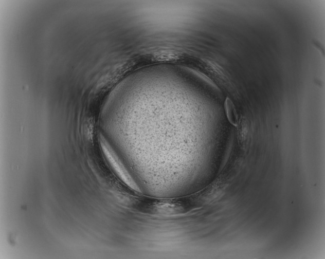 X0000101480315200807211405