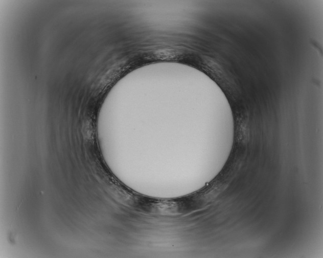 X0000101480317200807211405