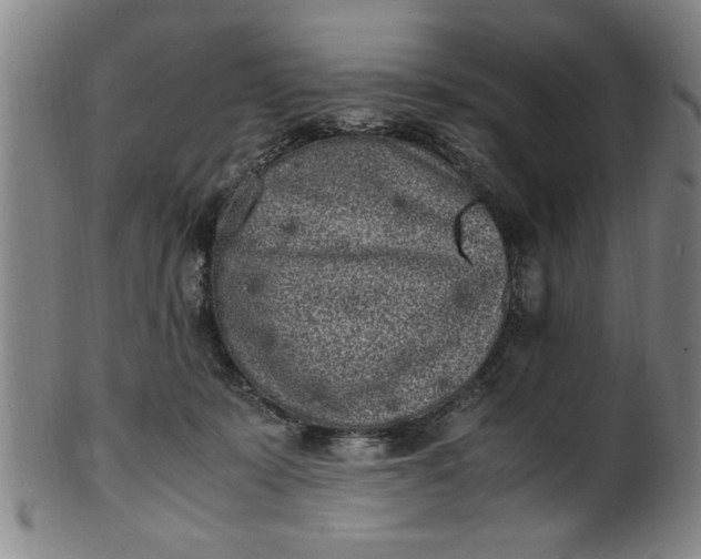 X0000101480319200807211405