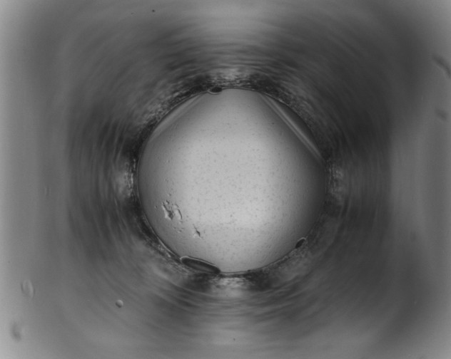 X0000101480324200807211405