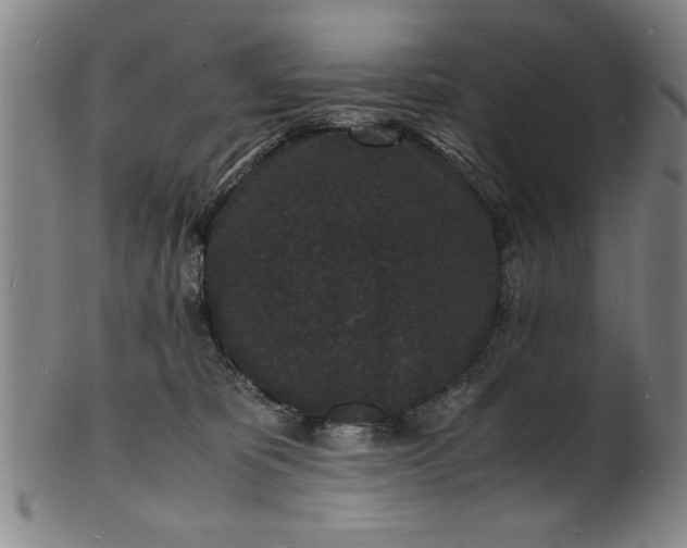 X0000101480325200807211405