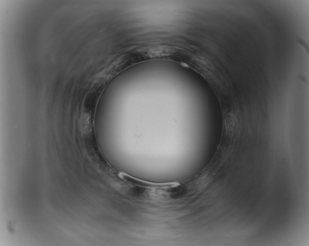 X0000101480327200807211405