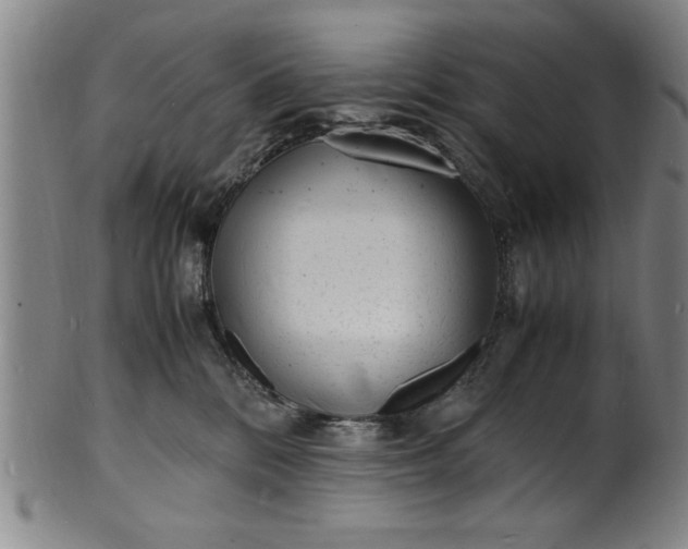 X0000101480328200807211405