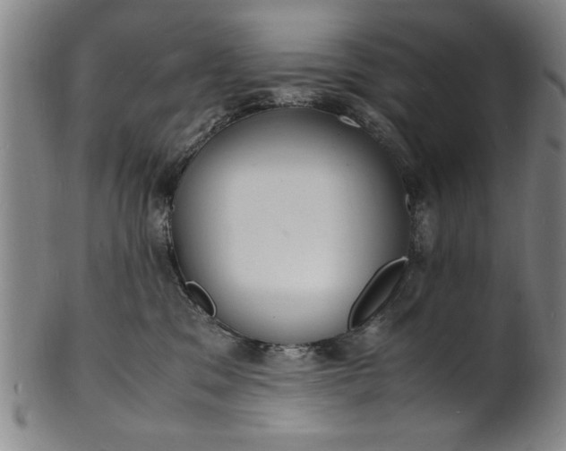 X0000101480329200807211405