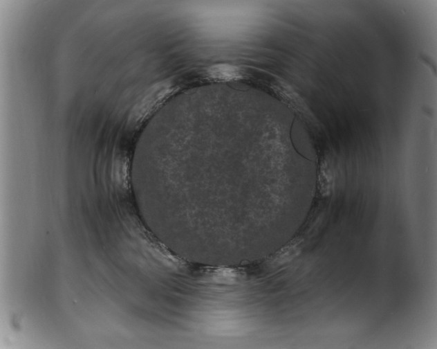 X0000101480330200807211405