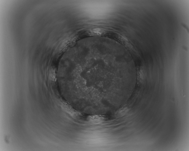 X0000101480331200807211405