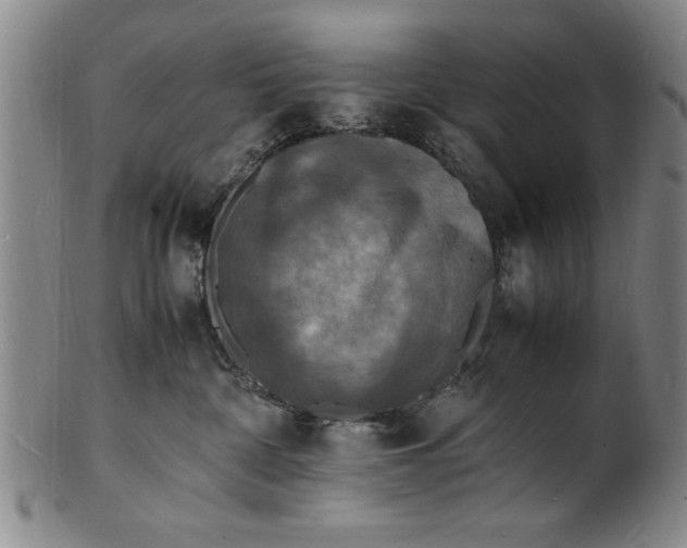 X0000101480332200807211405