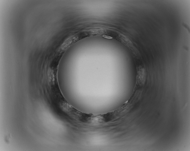 X0000101480333200807211405