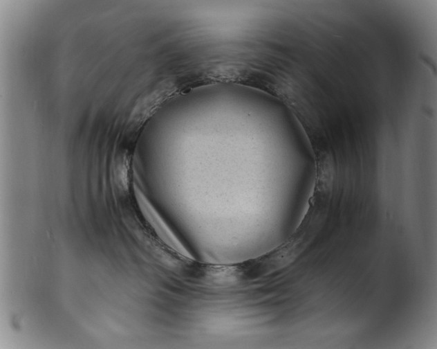 X0000101480334200807211405