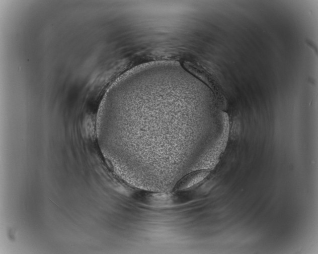 X0000101480335200807211405