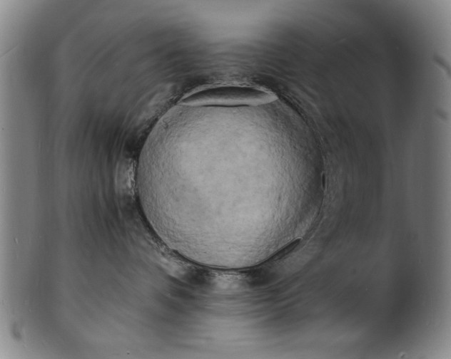 X0000101480336200807211405