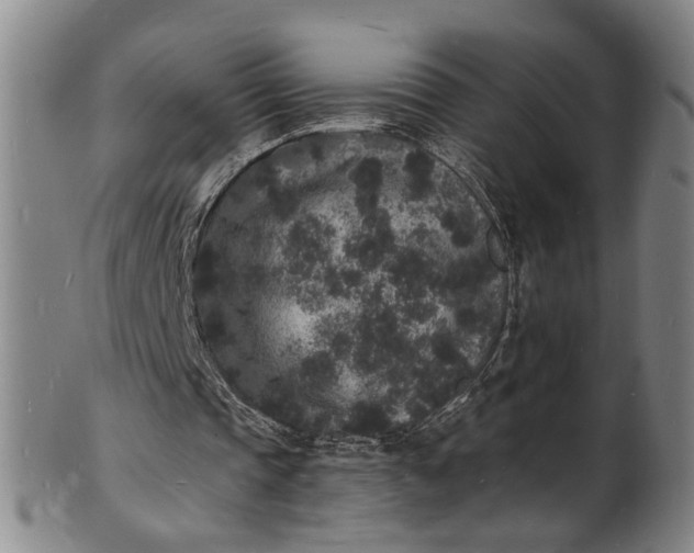 X0000101480337200807211404