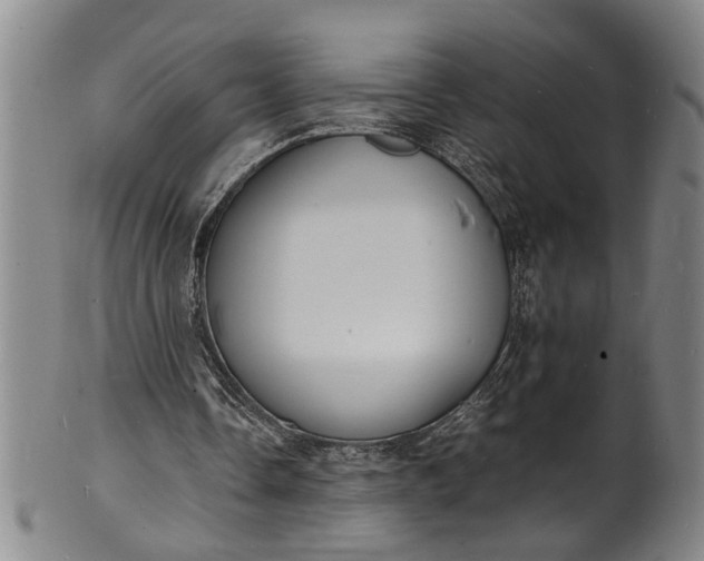 X0000101480338200807211404