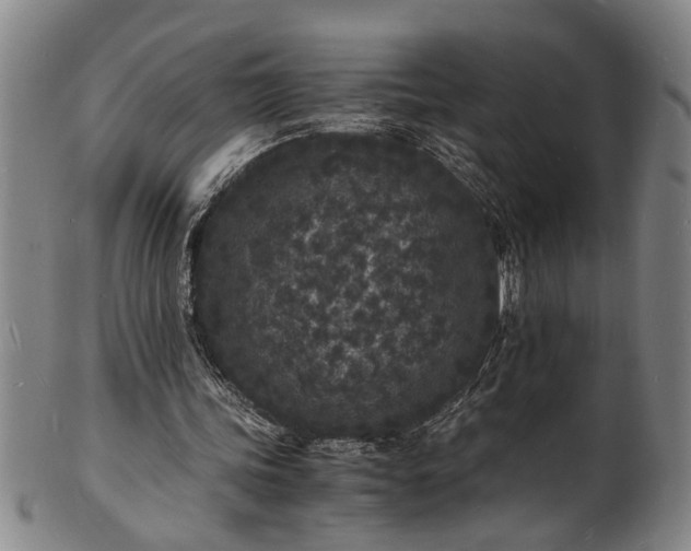 X0000101480339200807211404