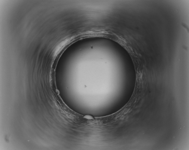 X0000101480340200807211404