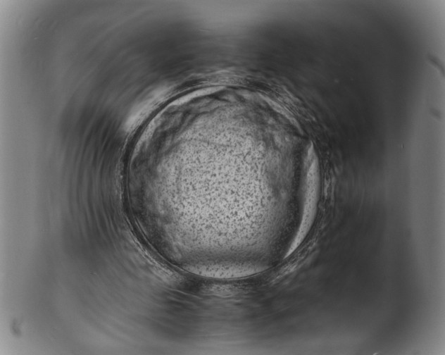 X0000101480341200807211404