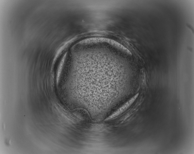 X0000101480342200807211404