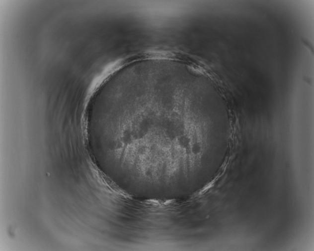 X0000101480343200807211404