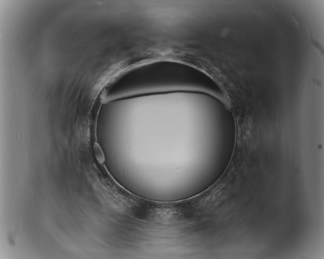 X0000101480344200807211404