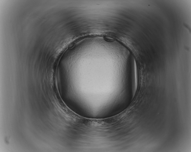 X0000101480346200807211404