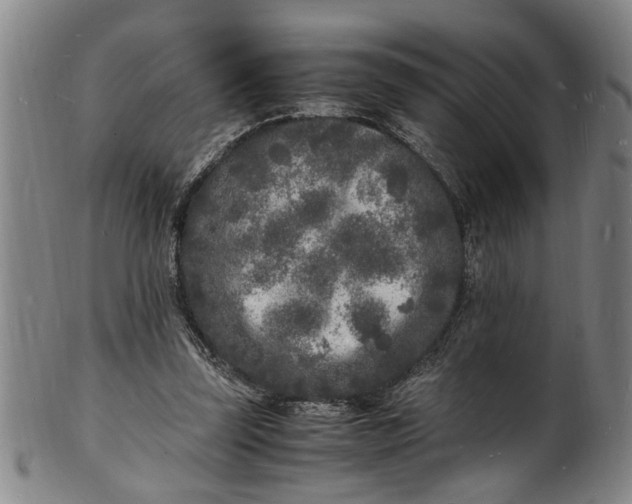 X0000101480347200807211404