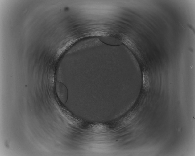 X0000101480348200807211404