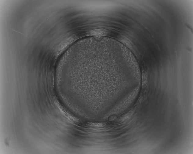 X0000101480349200807211404