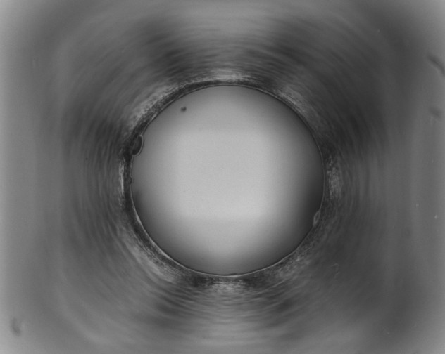 X0000101480350200807211404