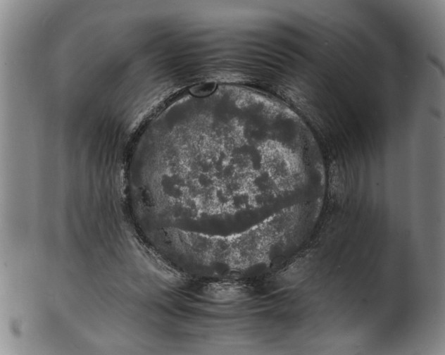 X0000101480351200807211404