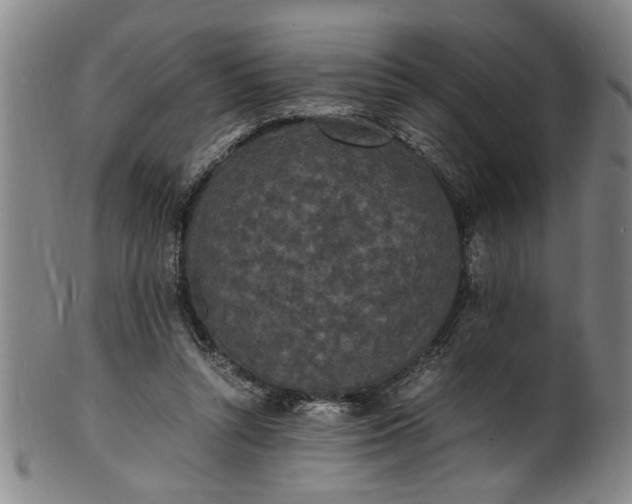 X0000101480352200807211404